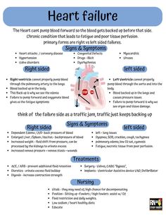 the heart and its functions are labeled in this diagram, which shows how it works