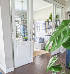 a living room filled with furniture and plants