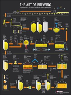 the art of brewing info poster