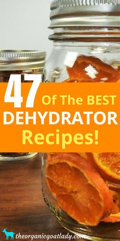 the best dehydraator recipes for dogs and cats are in this round glass jar