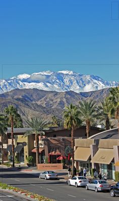 cars are parked on the street in front of palm trees and snow capped mountains behind them