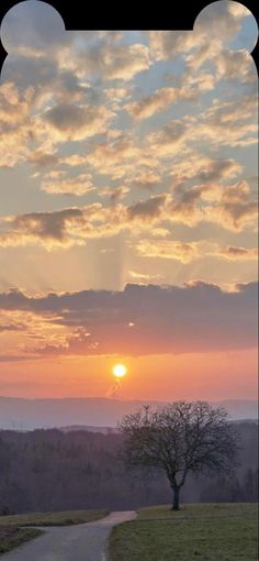 the sun is setting over a grassy field with a tree in the foreground and clouds in the background