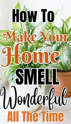 All Natural Home Fragrance, How To Make Your House Smell Fresh, Smelly House Remedy, How To Keep Home Smelling Fresh, Make Home Smell Amazing, Make House Smell Good All The Time, How To Make Your House Smell Good, Home Fragrance Diy House Smells, Fresh Smelling House