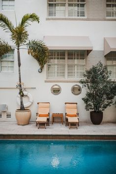 two chairs and a potted plant next to a swimming pool in front of a building