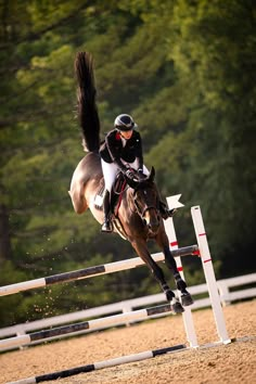 a person on a horse jumping over an obstacle