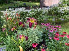 a garden filled with lots of colorful flowers