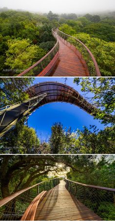 three different views of a bridge in the woods