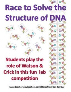 a poster with the words race to solve the structure of dna on it's side