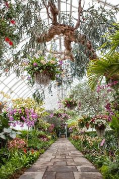 the inside of a greenhouse with lots of plants and flowers hanging from it's ceiling