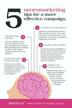 the five steps to effective marketing for small businesses info graphic by flickr on creative market