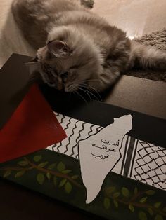 a cat laying on top of a piece of art