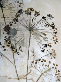 an image of dried flowers on a piece of paper with ink and watercolors