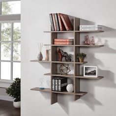 a book shelf with books on it in front of a white wall and potted plant