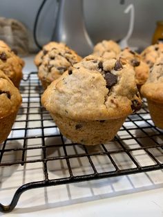 chocolate chip muffins cooling on a wire rack