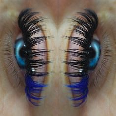 Lash Ideas, Uñas Ideas, Lash Sets, Lashes Beauty, Beauty School, Makeup Eyelashes