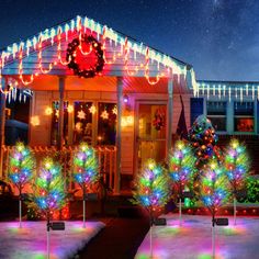 christmas lights on trees in front of a house