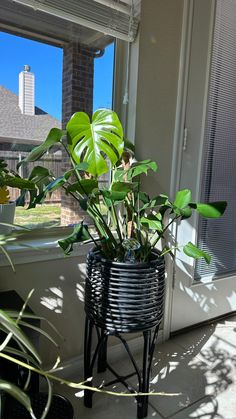 a potted plant sitting on top of a metal stand next to a window sill