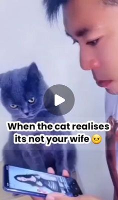 a person holding a cell phone with a cat on the screen and texting, when the cat realises it's not your wife