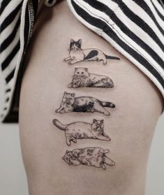 a woman's thigh with four cats on it and one cat laying in the middle