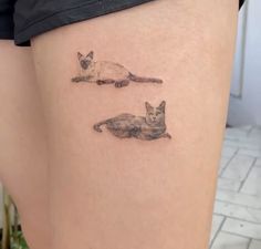 two cats sitting on the side of a woman's thigh