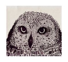 an owl with big eyes is shown in black and white, while the image appears to be drawn on paper