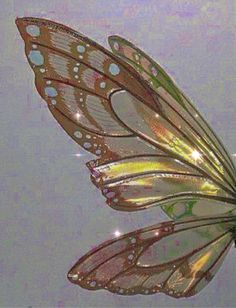 a butterfly flying in the air with its wings spread out and water droplets on it's wings