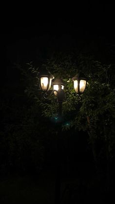 two street lights are lit up in the dark at night, with trees and bushes behind them