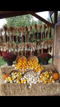 an assortment of fruits and vegetables displayed on hay bales in front of a wooden structure