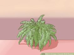 a green plant sitting on top of a pink table