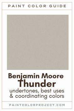 the paint color guide for benjamin moore thunder, best uses and coordinating colors