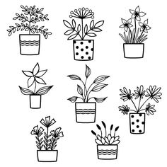 hand drawn potted plants with flowers and leaves on white background, black and white illustration