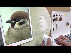 a person is painting a bird on a tablet