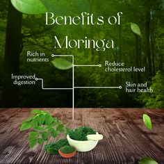 Rich in Nutrients Reduce Cholesterol Level Improved Digestion Skin and Hair Health  #MoringaMiracle #SuperfoodMoringa #GreenEnergyBoost #NutrientRichMoringa #HealthyLivingWithMoringa #MoringaMagic #EcoFriendlyMoringa #WellnessFromMoringa #OrganicMoringaPower #VitalityWithMoringa Reduce Cholesterol, Improve Digestion, Cholesterol Levels, Stay Healthy, Boost Energy, Hair Health, How To Stay Healthy, Health Benefits