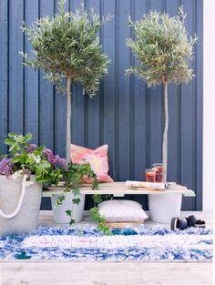 two potted trees sitting next to each other on top of a blue rug in front of a wall