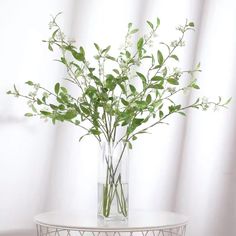 a vase filled with water and greenery on top of a white table next to a window