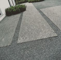 a black and white photo of a brick walkway in front of a building with bushes