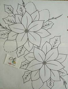 a drawing of poinsettis on a sheet of paper