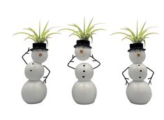 three snowmen with plants in their heads