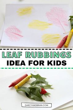 leaf rubbings for kids to make with paper and crayons