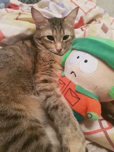 a cat laying on top of a bed next to a stuffed toy with a person