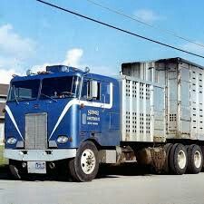 a blue semi truck parked in front of a building