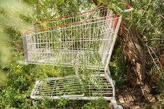 an empty shopping cart sitting in the middle of some bushes and trees with no one around it