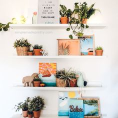 three white shelves with plants and pictures on them, one is filled with houseplants