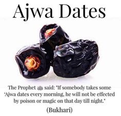 Islamic Food, Islamic Medicine, Ajwa Dates, Daniel Fast Meal Plan, Fruit Quotes, Islamic Life, Ra Quotes, Islamic Things, Healthy Facts