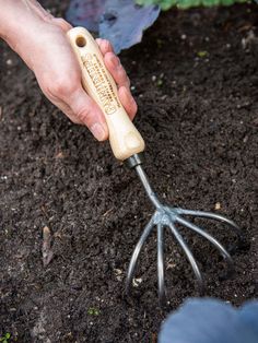 a person holding a garden tool in the dirt