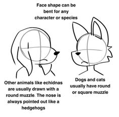 how to draw a cartoon dog's face