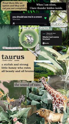 a collage of different types of animals and plants