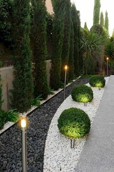 an outdoor garden with lots of plants and lights