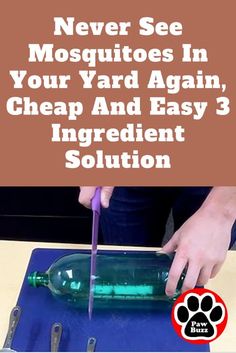 someone is using a knife to cut through an empty bottle with the words never see mosquitoes in your yard again, cheap and easy 3 ingredient solution