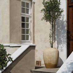 a potted plant sitting on the steps in front of a building with an open window